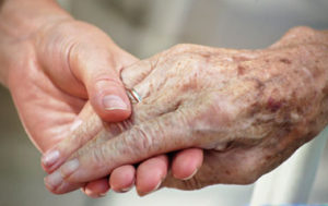 Old and Young Hands